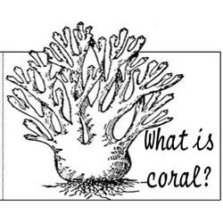 着色页: 珊瑚 (自然) #162907 - 免费可打印着色页