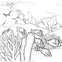 着色页: 珊瑚 (自然) #162958 - 免费可打印着色页