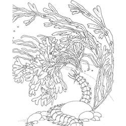 着色页: 珊瑚 (自然) #162973 - 免费可打印着色页