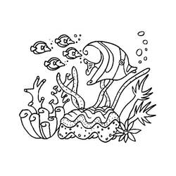 着色页: 珊瑚 (自然) #162991 - 免费可打印着色页