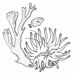 着色页: 珊瑚 (自然) #163008 - 免费可打印着色页