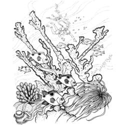 着色页: 珊瑚 (自然) #163012 - 免费可打印着色页