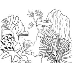 着色页: 珊瑚 (自然) #163034 - 免费可打印着色页