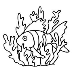 着色页: 珊瑚 (自然) #163133 - 免费可打印着色页
