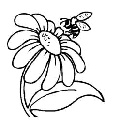 着色页: 雏菊 (自然) #161369 - 免费可打印着色页