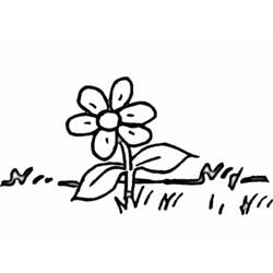 着色页: 雏菊 (自然) #161375 - 免费可打印着色页