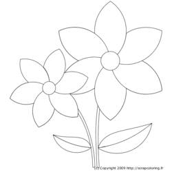 着色页: 雏菊 (自然) #161392 - 免费可打印着色页