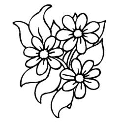 着色页: 雏菊 (自然) #161472 - 免费可打印着色页