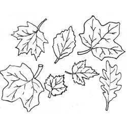 着色页: 秋季 (自然) #164059 - 免费可打印着色页
