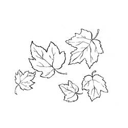 着色页: 秋季 (自然) #164081 - 免费可打印着色页