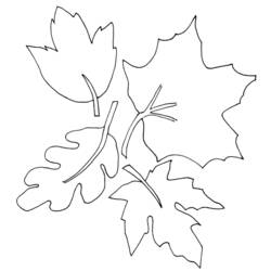 着色页: 秋季 (自然) #164184 - 免费可打印着色页