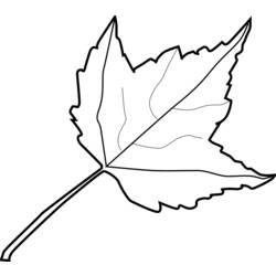 着色页: 秋季 (自然) #164246 - 免费可打印着色页