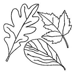 着色页: 秋季 (自然) #164295 - 免费可打印着色页