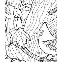 着色页: 秋季 (自然) #164298 - 免费可打印着色页