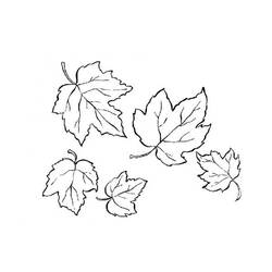 着色页: 秋季 (自然) #164376 - 免费可打印着色页