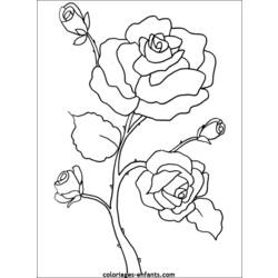 着色页: 花卉 (自然) #154967 - 免费可打印着色页