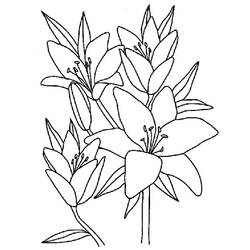 着色页: 花卉 (自然) #154969 - 免费可打印着色页