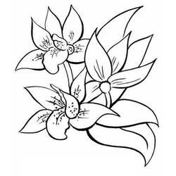 着色页: 花卉 (自然) #154979 - 免费可打印着色页