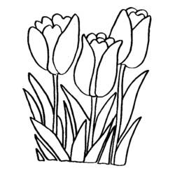着色页: 花卉 (自然) #154991 - 免费可打印着色页