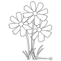 着色页: 花卉 (自然) #155003 - 免费可打印着色页