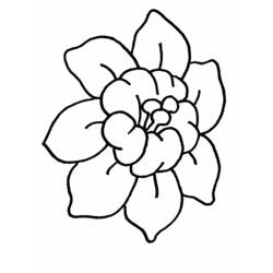 着色页: 花卉 (自然) #155010 - 免费可打印着色页