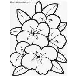 着色页: 花卉 (自然) #155030 - 免费可打印着色页
