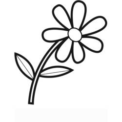 着色页: 花卉 (自然) #155041 - 免费可打印着色页