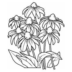 着色页: 花卉 (自然) #155142 - 免费可打印着色页