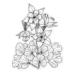 着色页: 花卉 (自然) #155144 - 免费可打印着色页