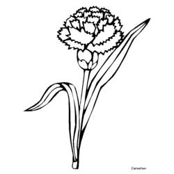 着色页: 花卉 (自然) #155180 - 免费可打印着色页