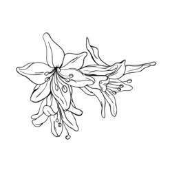 着色页: 花卉 (自然) #155238 - 免费可打印着色页