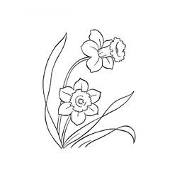 着色页: 花卉 (自然) #155250 - 免费可打印着色页