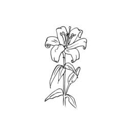 着色页: 花卉 (自然) #155259 - 免费可打印着色页