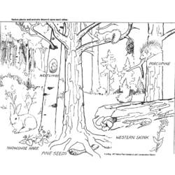 着色页: 森林 (自然) #157021 - 免费可打印着色页