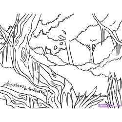 着色页: 森林 (自然) #157202 - 免费可打印着色页