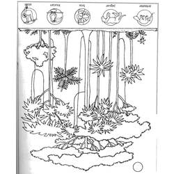 着色页: 森林 (自然) #157251 - 免费可打印着色页