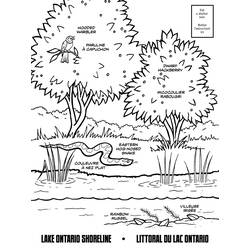 着色页: 湖 (自然) #166147 - 免费可打印着色页