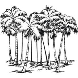 着色页: 棕榈 (自然) #161177 - 免费可打印着色页