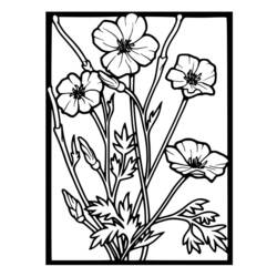 着色页: 罂粟 (自然) #162470 - 免费可打印着色页