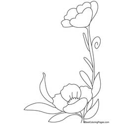 着色页: 罂粟 (自然) #162497 - 免费可打印着色页