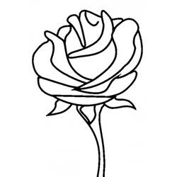 着色页: 玫瑰 (自然) #161876 - 免费可打印着色页