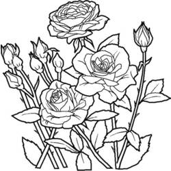 着色页: 玫瑰 (自然) #161888 - 免费可打印着色页