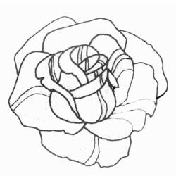 着色页: 玫瑰 (自然) #161898 - 免费可打印着色页