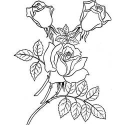 着色页: 玫瑰 (自然) #161918 - 免费可打印着色页