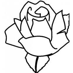 着色页: 玫瑰 (自然) #161927 - 免费可打印着色页