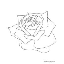 着色页: 玫瑰 (自然) #161938 - 免费可打印着色页