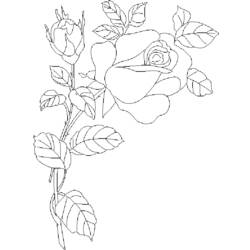 着色页: 玫瑰 (自然) #161949 - 免费可打印着色页