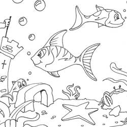 着色页: 海底 (自然) #160124 - 免费可打印着色页