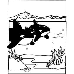 着色页: 海底 (自然) #160214 - 免费可打印着色页
