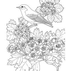 着色页: 春暖花开的季节 (自然) #165058 - 免费可打印着色页